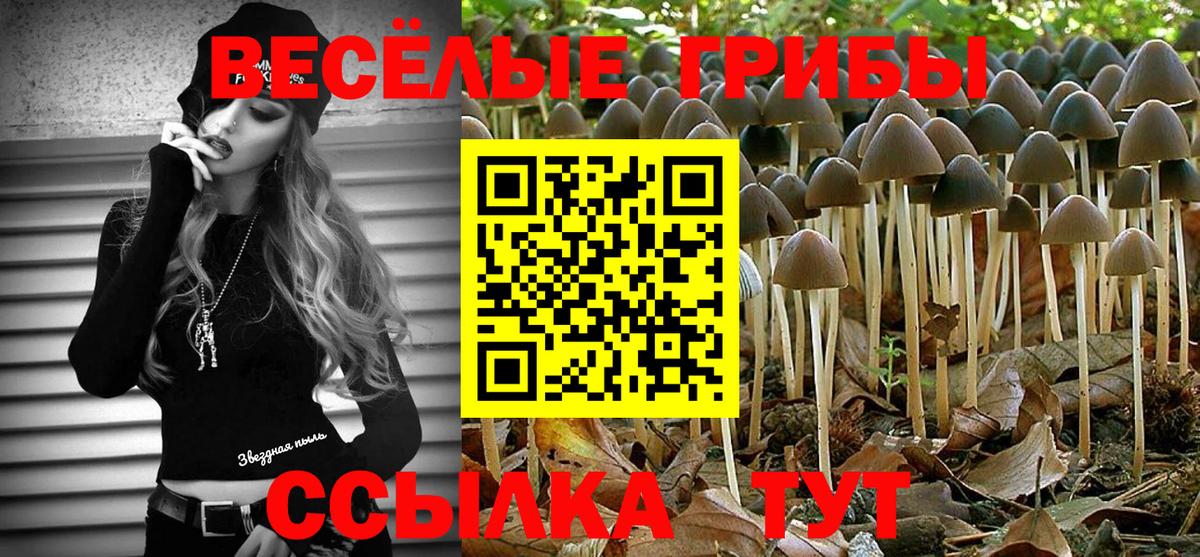 Саратов  наркошоп  Вход с VPN  Галлюциногенные грибы прущие грибы 