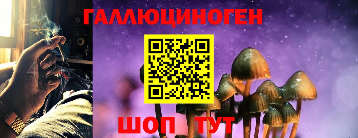 Псилоцибиновые грибы мицелий Саратов